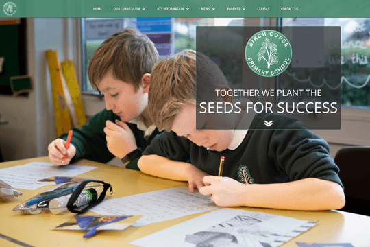 site profile thumbnail