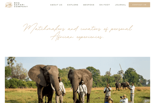 BHS - Safari Company thumbnail