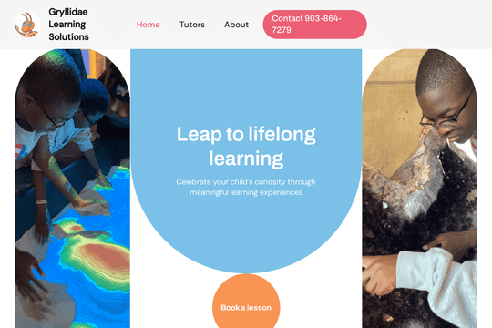 Gryllidae Learning Solutions thumbnail