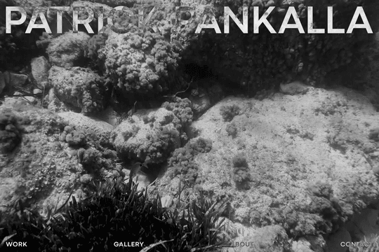 site profile thumbnail