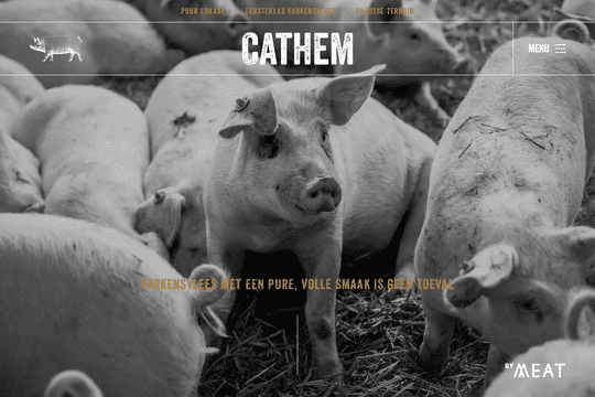 site profile thumbnail