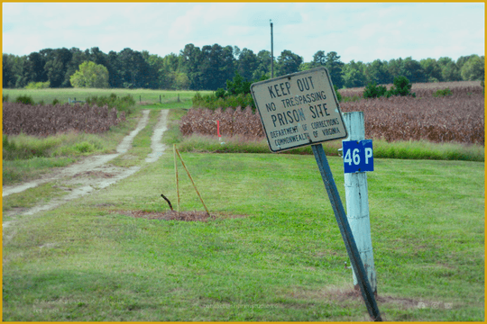 site profile thumbnail