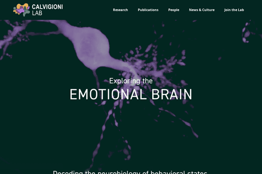 site profile thumbnail
