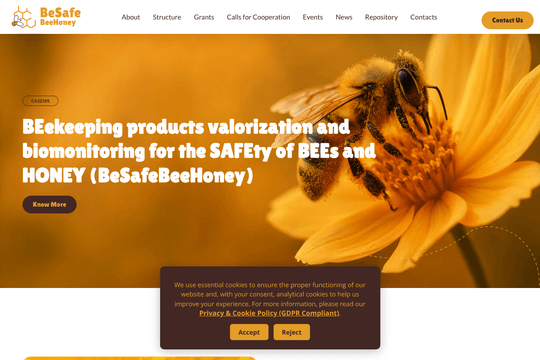 BeSafeBeeHoney // Website thumbnail