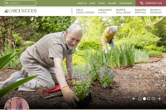 site profile thumbnail