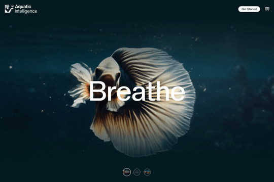 site profile thumbnail