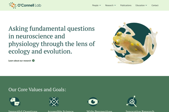 site profile thumbnail
