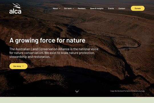 site profile thumbnail