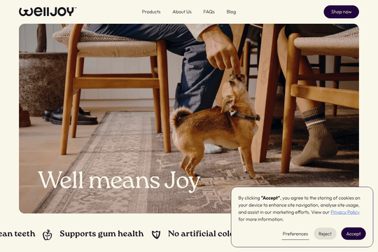 WellJoy Australia Website thumbnail