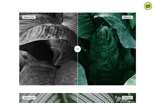 site profile thumbnail