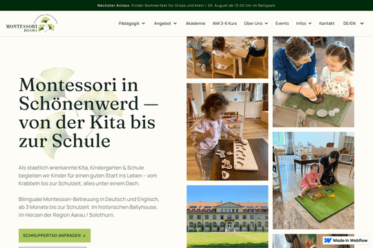 Montessori Biloba thumbnail